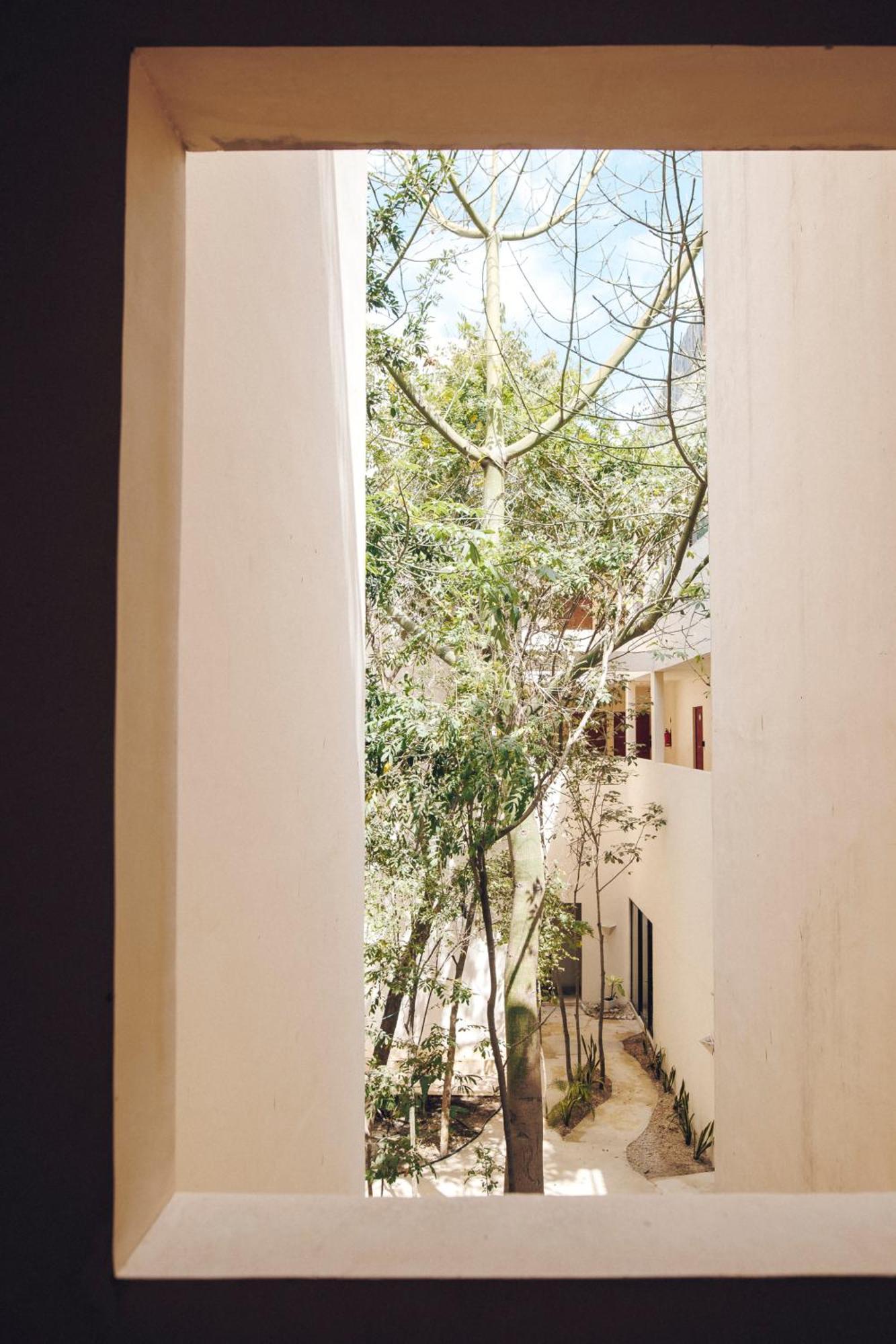 2 Bikes Free Exlusive Building Close To The Sea Tulum Eksteriør bilde