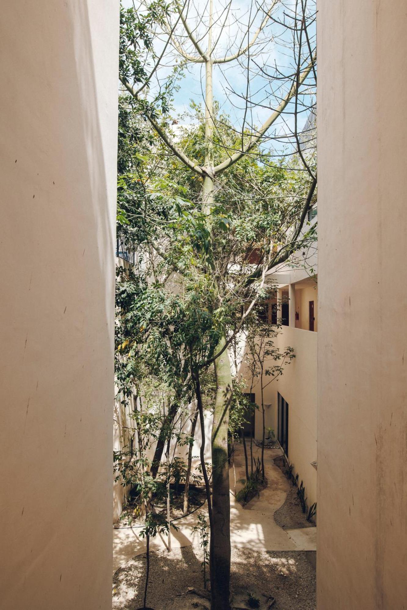 2 Bikes Free Exlusive Building Close To The Sea Tulum Eksteriør bilde